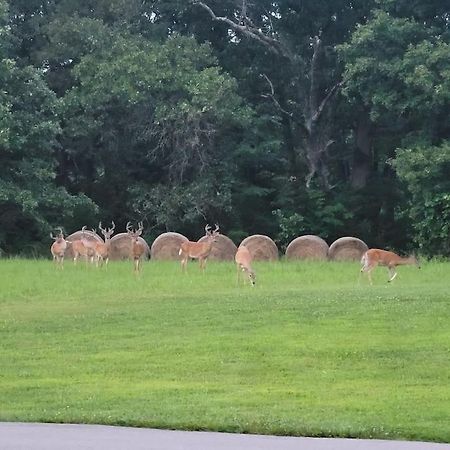 Отель Deer Run Estate Llc Marshfield Экстерьер фото