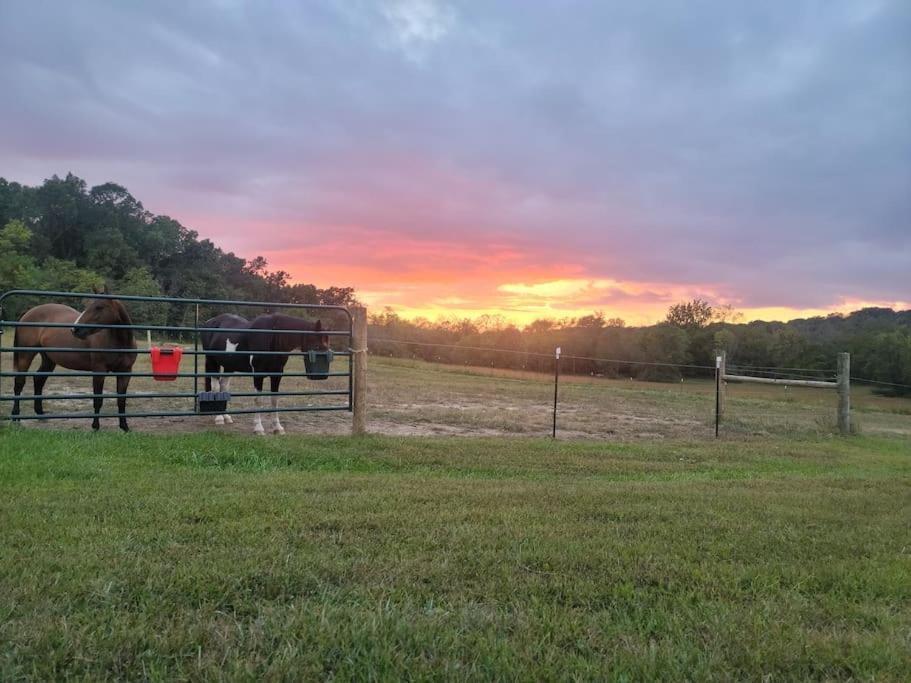 Отель Deer Run Estate Llc Marshfield Экстерьер фото
